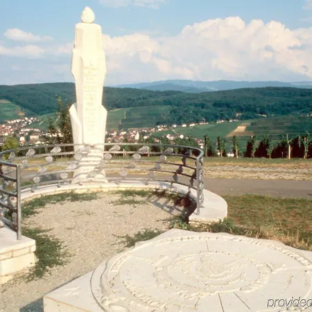 Colombi 5* Fribourg im Breisgau