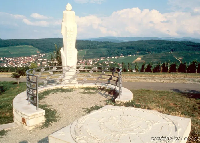 Colombi 5* Friburgo in Brisgovia